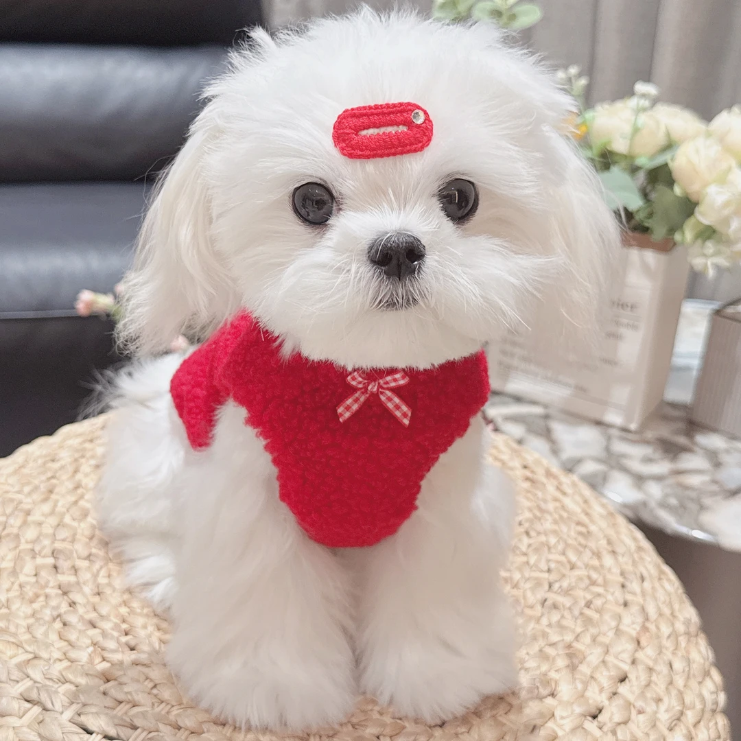 冬款加绒宠物服红色羊羔绒马甲