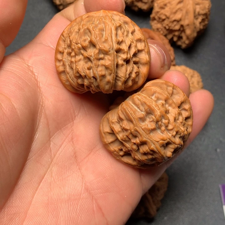 文玩核桃把件39白狮子1152