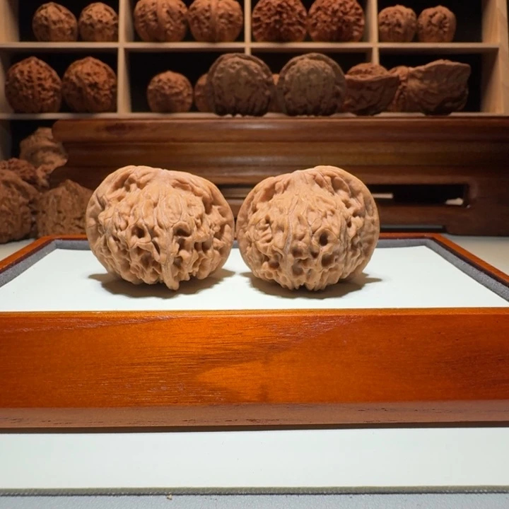 大***华全品天地蝴蝶桩尺寸39