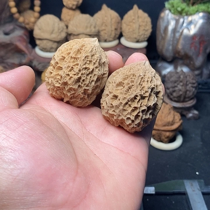 文玩核桃吊坠云南铁核桃16