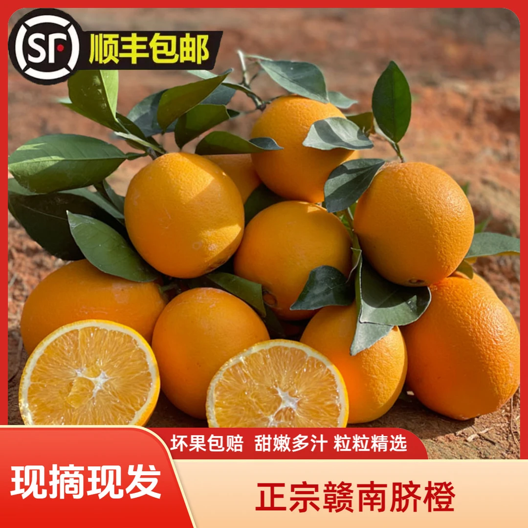 顺丰上门正宗江西赣南脐橙5斤现摘寻乌甜橙子橙子正宗赣南脐橙