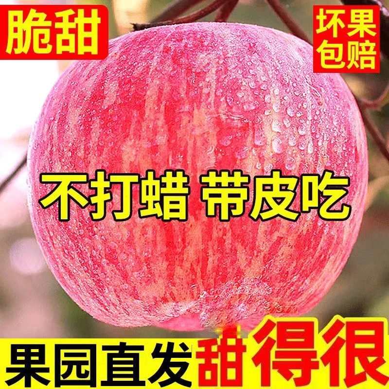 2025新鲜苹果正宗红富士苹果当季现摘脆甜冰糖心新鲜水果整箱批发