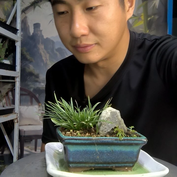 d****g中青园艺一物一拍168