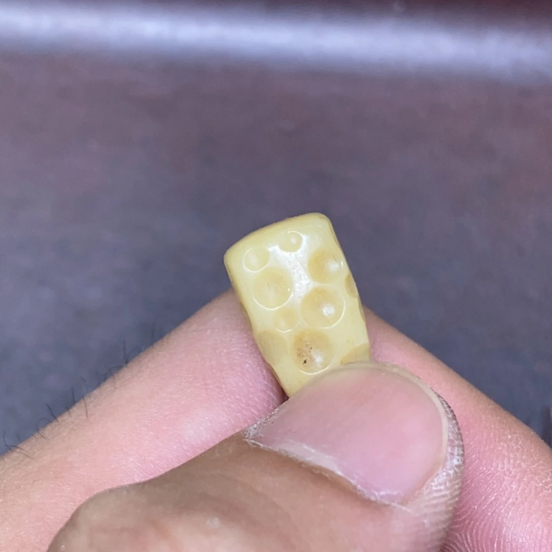 其他驼骨1.0尺寸灵骨,75