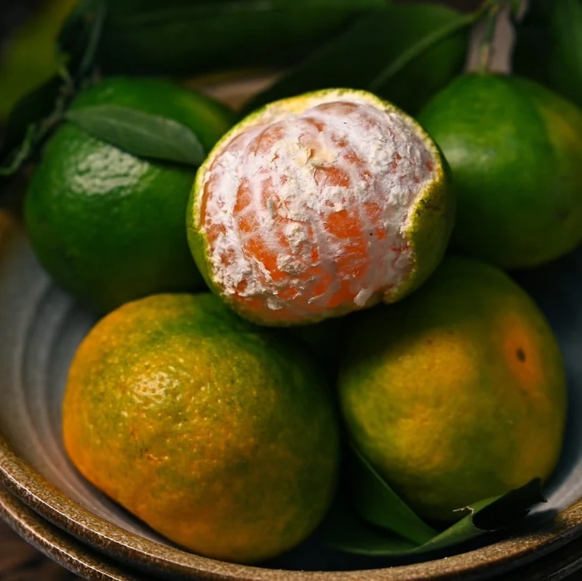 松滋本地国庆一号柑橘