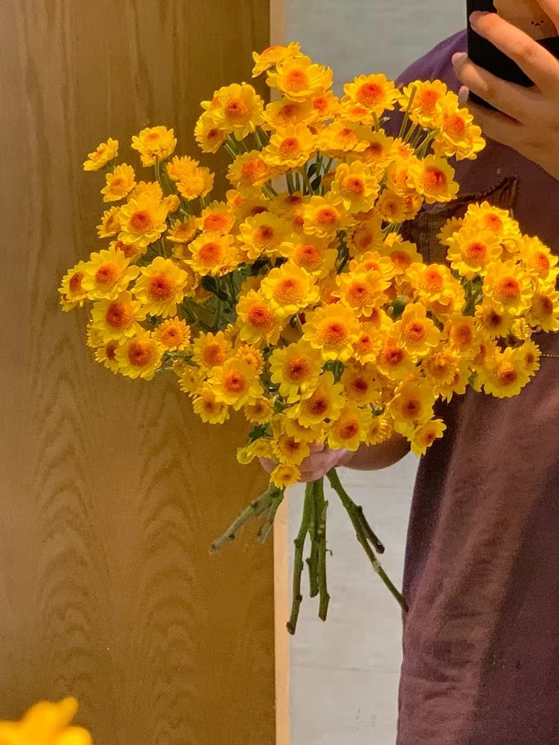 【花涧十顷】小太阳-小菊