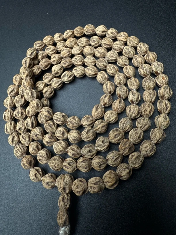 热振一哥《影绝》定制级柏香籽