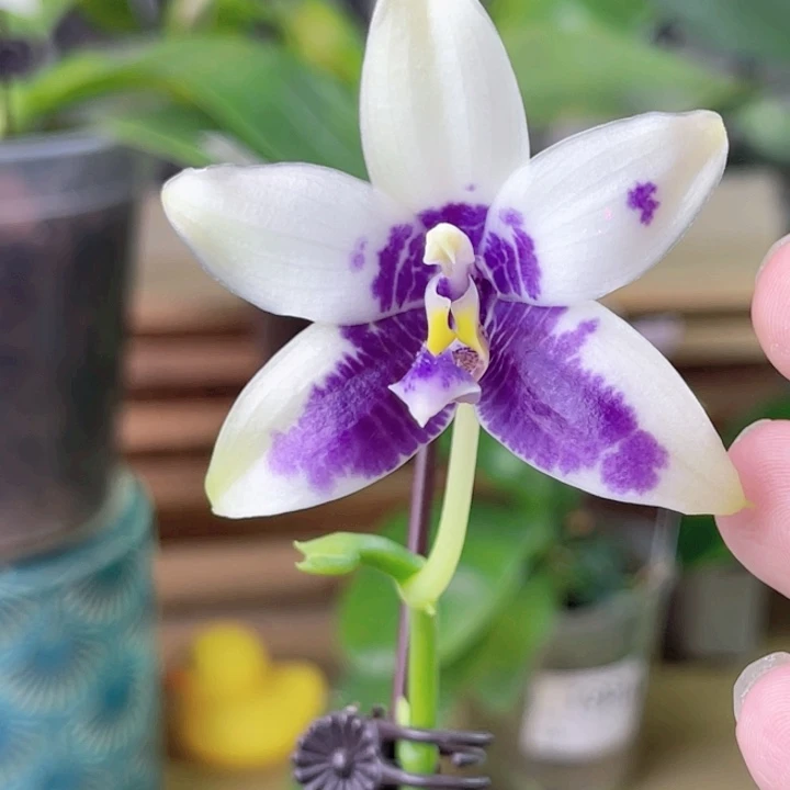 完全开放JG2327-1955