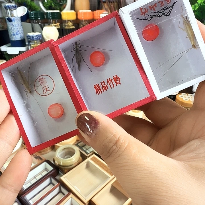 紫竹➕山竹➕柬竹啊啊啊啊