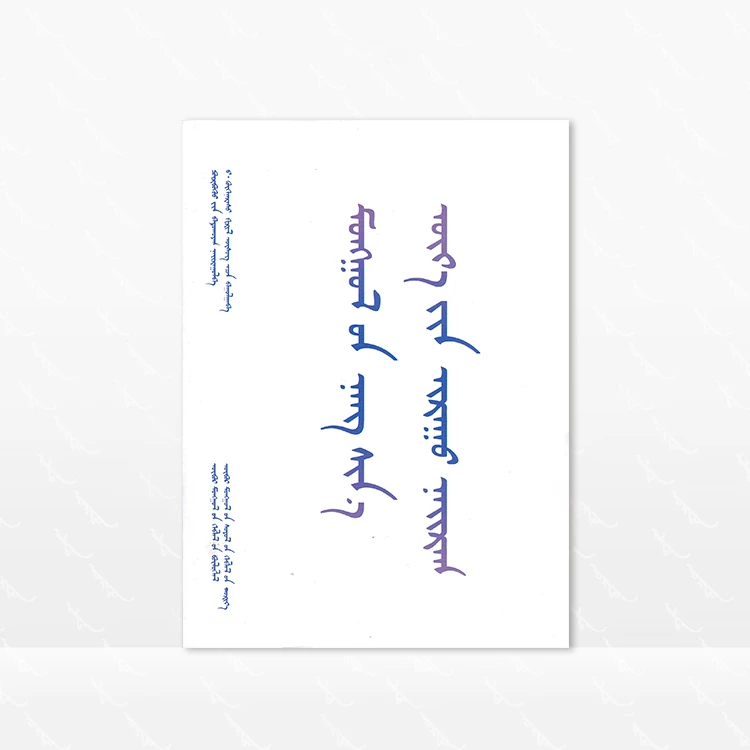 蒙古新一代诗集 蒙古文 普·巴图胡雅 内蒙古文化出版社 第一版