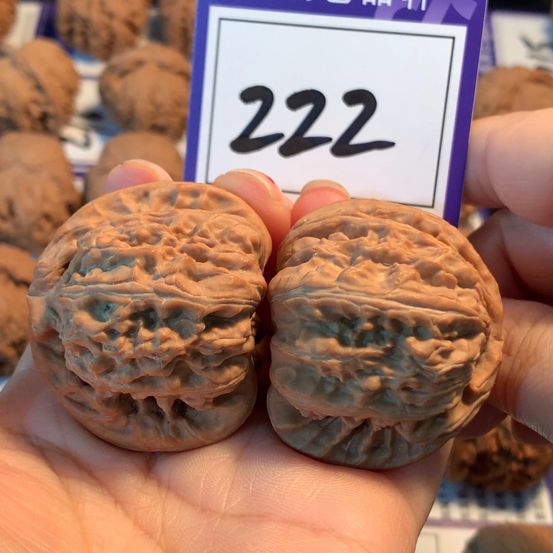 把件文玩核桃222白狮子4.2