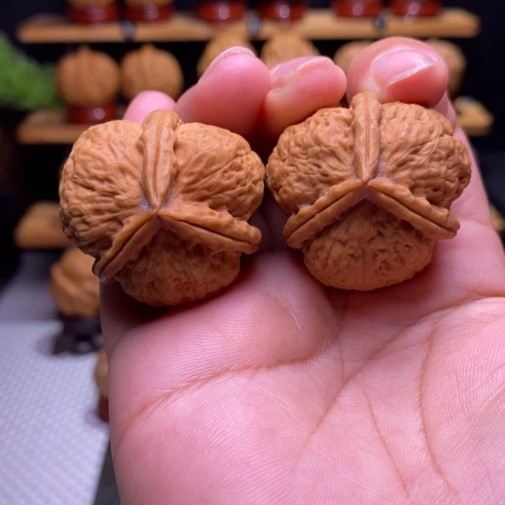 核桃云铁白羊三棱17号