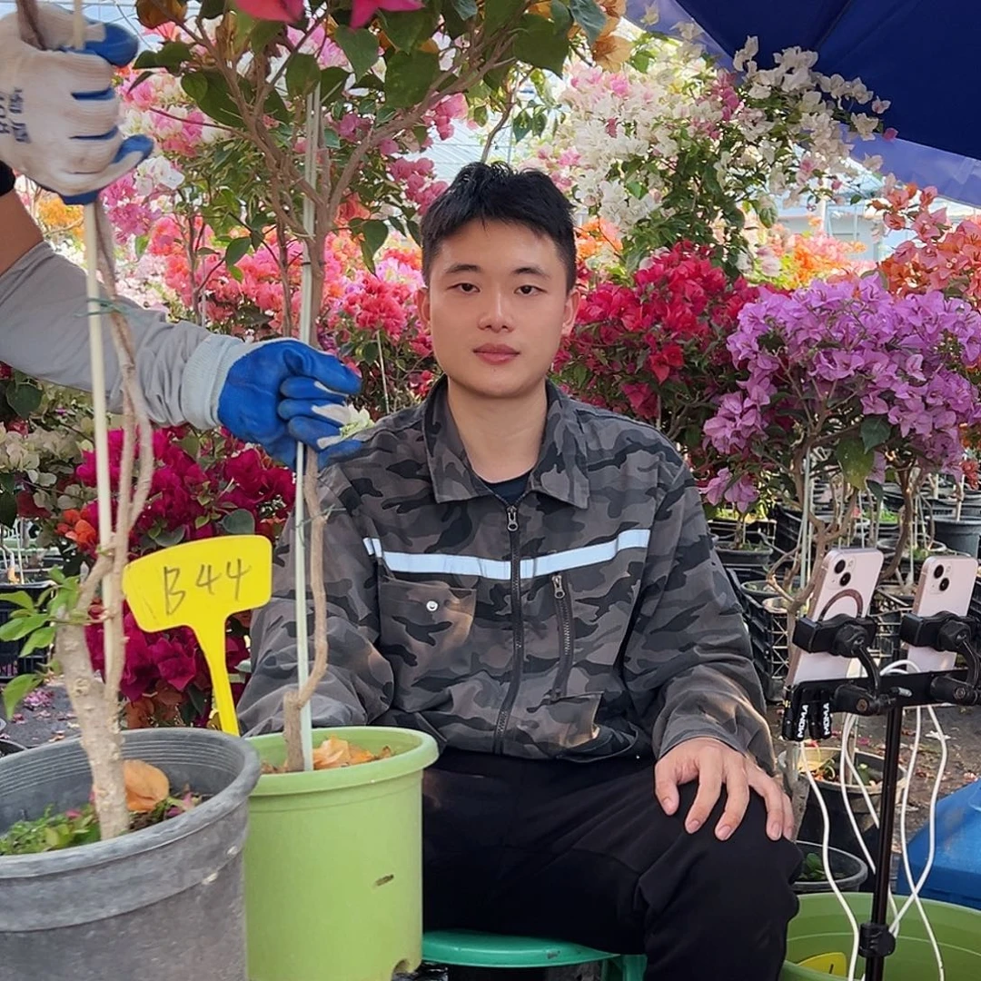 山***丹大部分花苞少量开放B44金色光辉