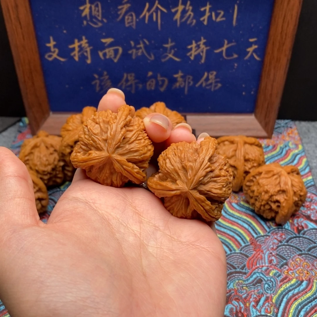 【闪购商品】可**宝白狮