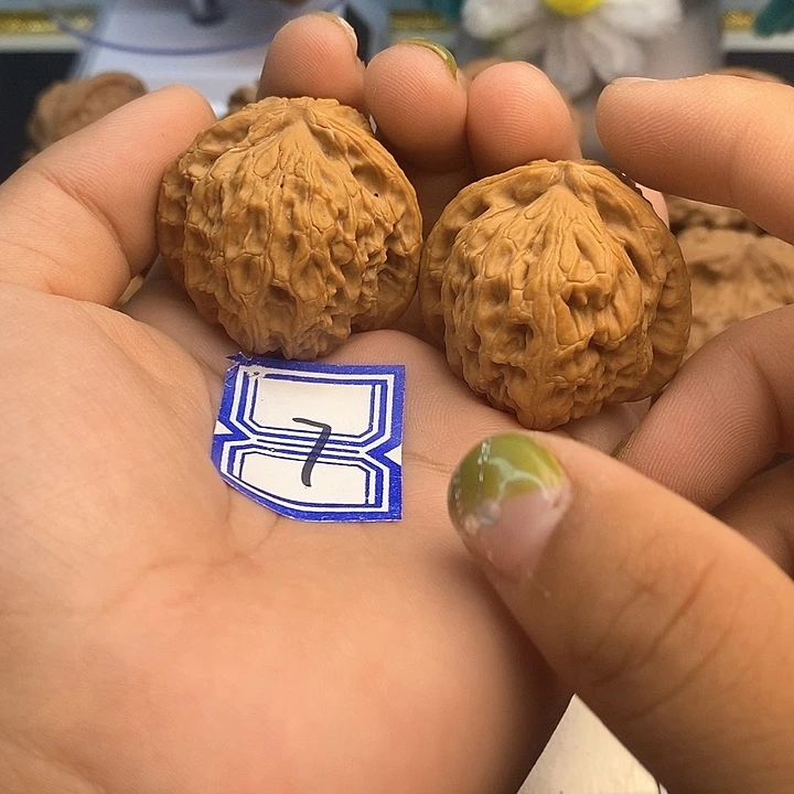 把件文玩核桃37白狮子