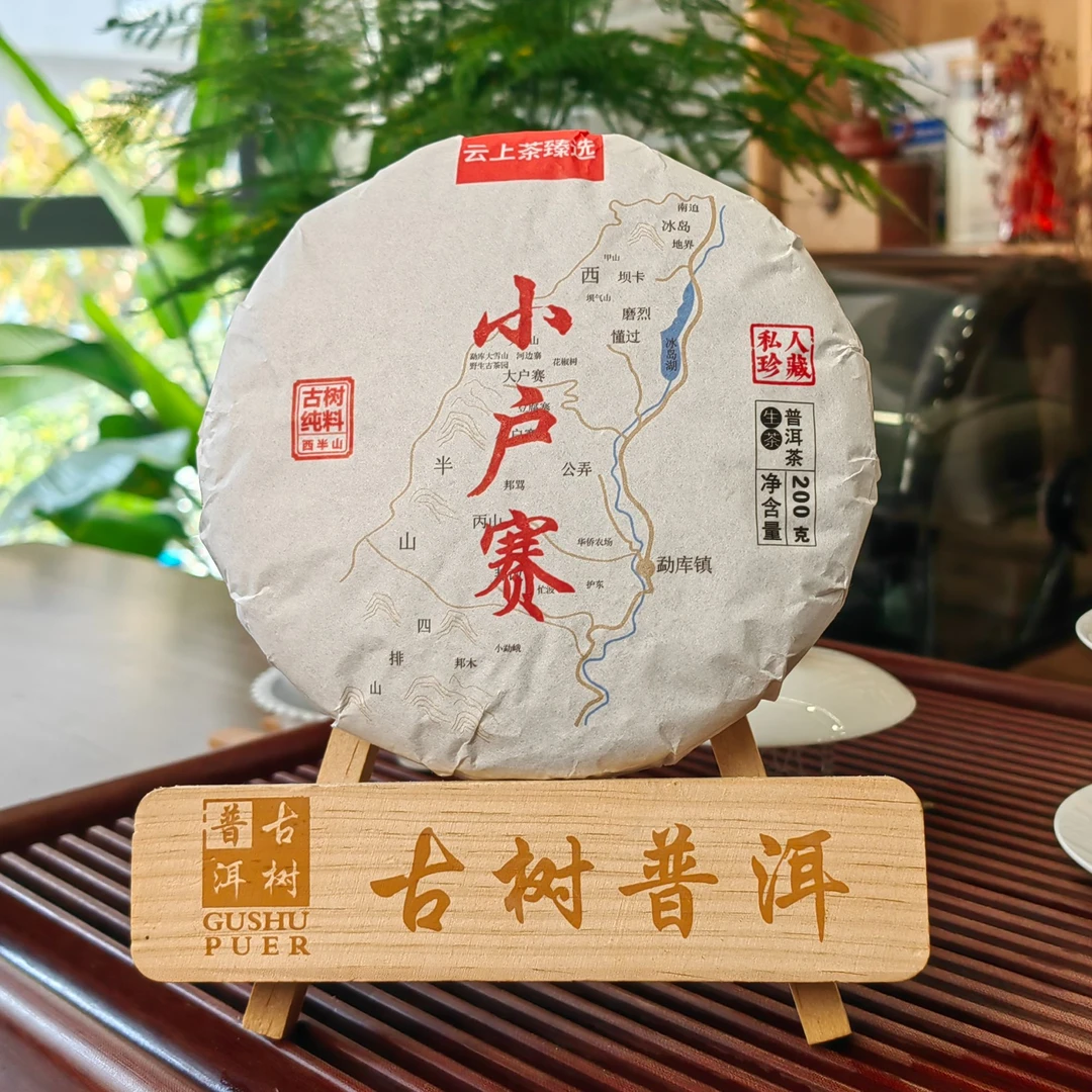 【2024年临沧茶区】小户赛春茶古树200克饼 普洱茶生茶