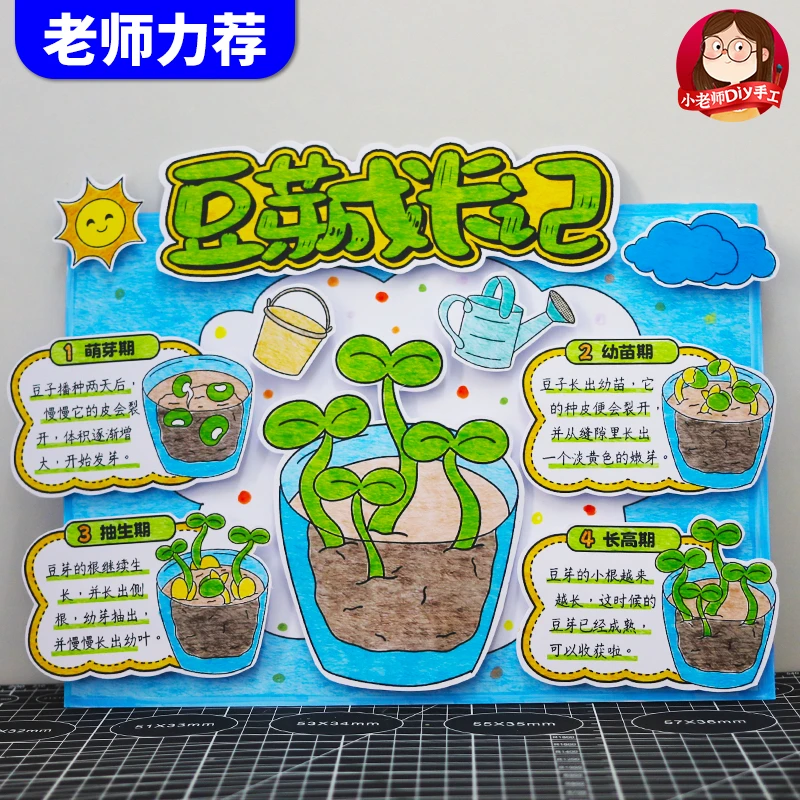 自制豆芽成长记手抄报植物生长观察日记小学生记录手工立体粘贴画