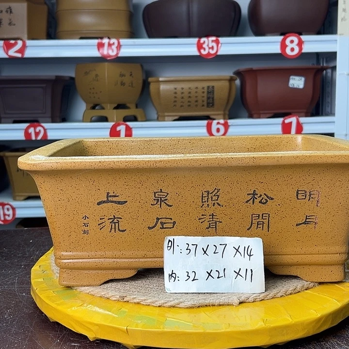 花盆紫砂蛇年大吉