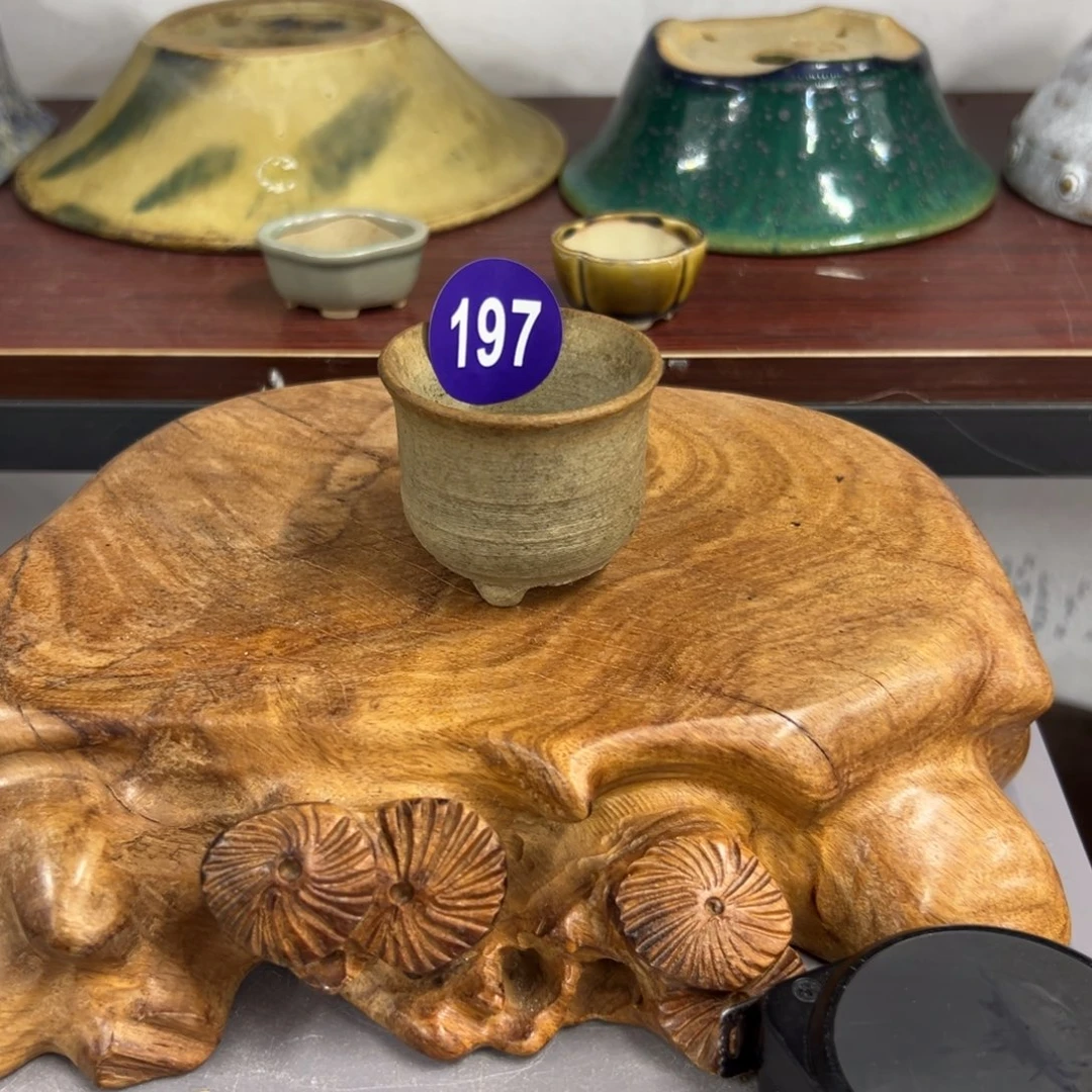 红陶刘*轻轻一点，直接输入197