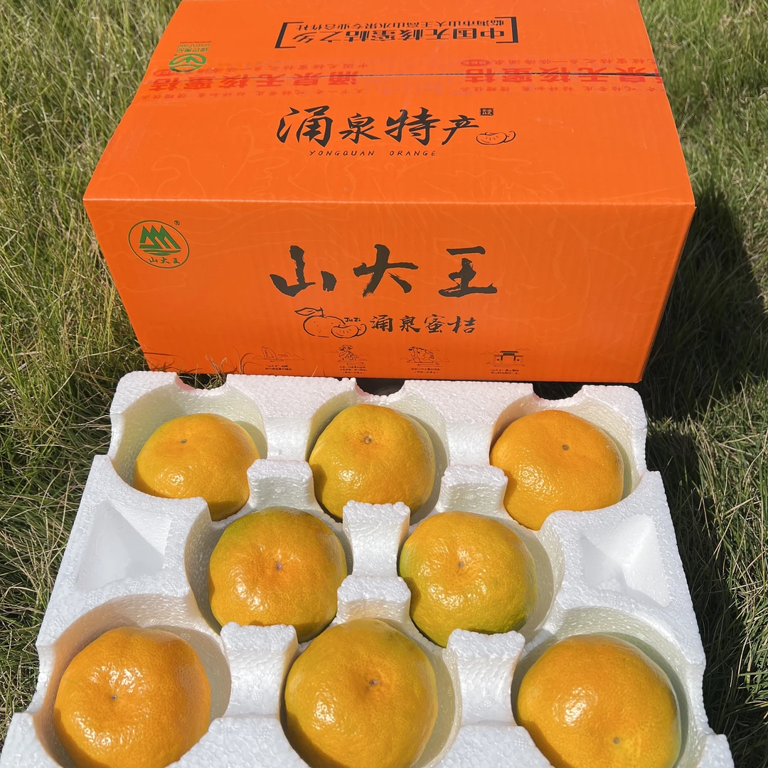 正宗山大王涌泉蜜桔高山蜜桔山大王蜜桔产地直发顺丰包邮（中大果）