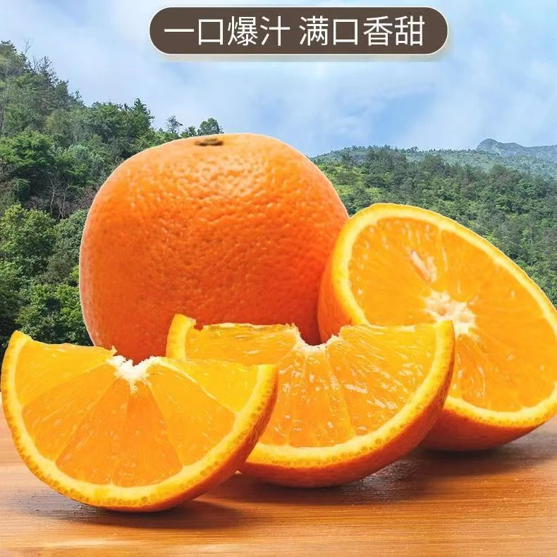 【新人专享】赣南信丰脐橙皮薄多汁无籽香甜爆汁新鲜采摘当季水果