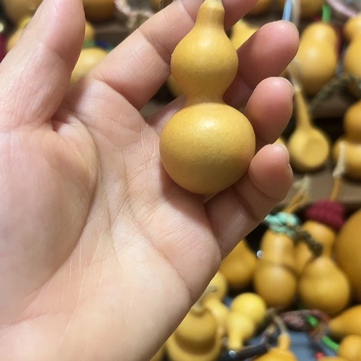 三七蚂蚁肚尖脐蚂蚁肚