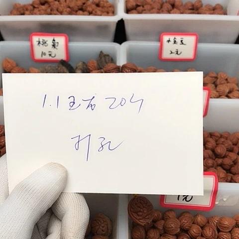 桃核吊坠悦*?龙纹桃核的搭配