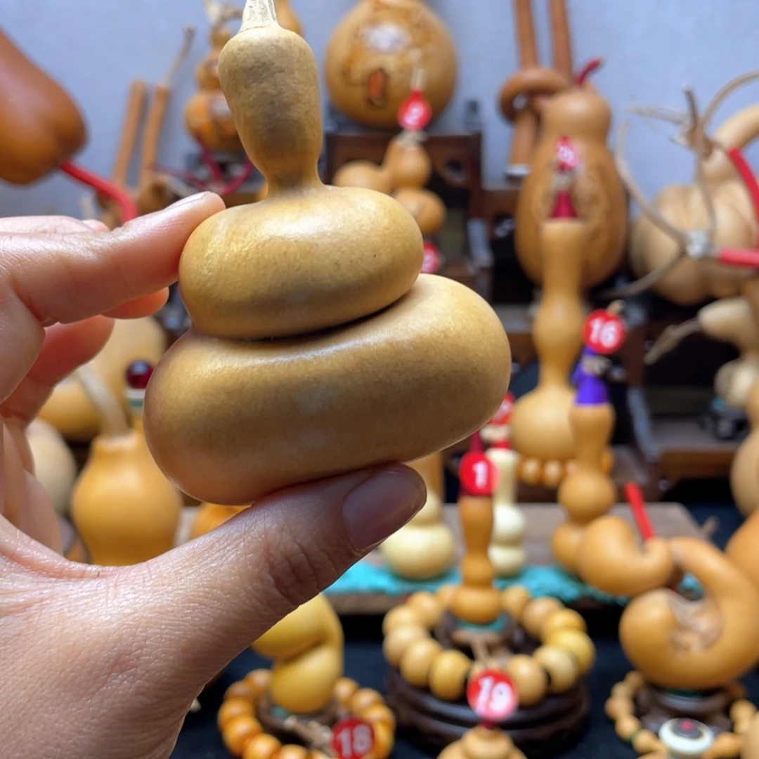 伟*大自然的秘密第十一节的