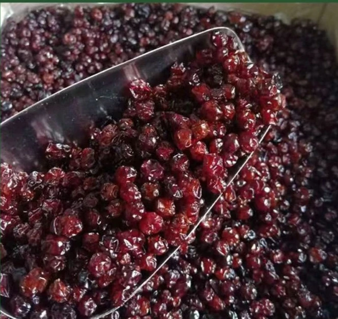 蔓越莓，十万大山现收
