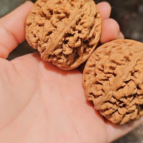 吊坠文玩核桃48粗筋