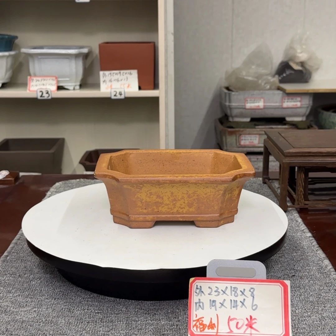 盆友居紫砂花盆直播间