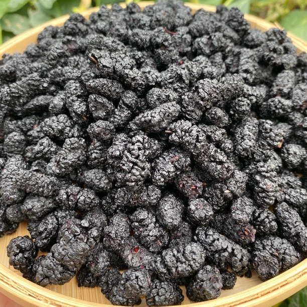 山货 桑葚干半斤-2斤克农产品