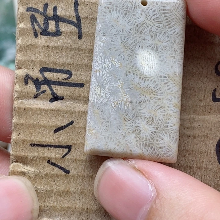硅化珊瑚（珊瑚玉）未镶嵌颈饰風**里