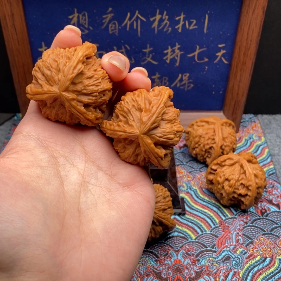 【闪购商品】M*W白狮