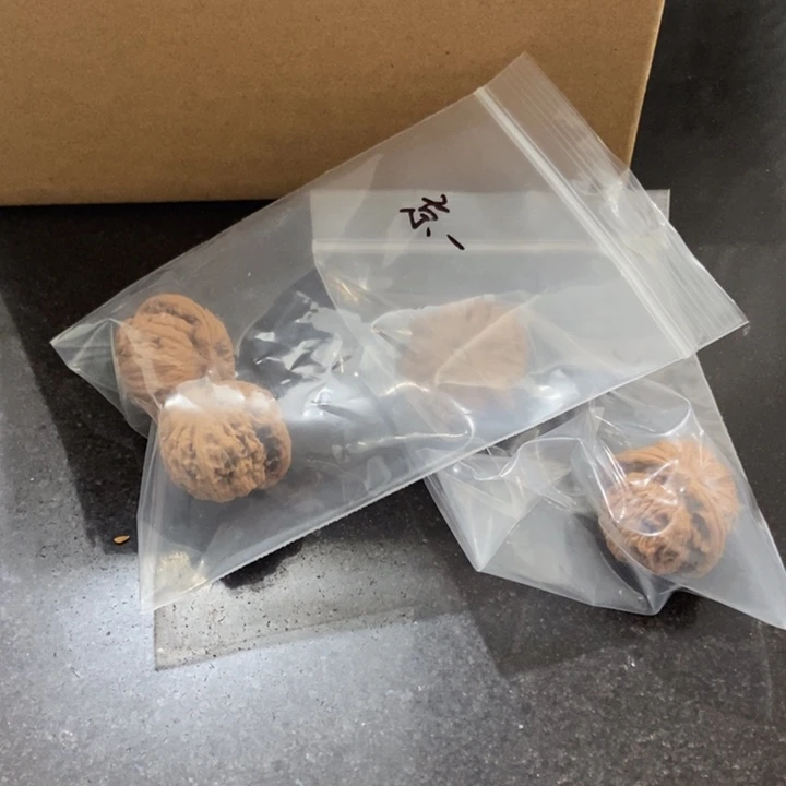 吊坠文玩核桃京东第一矮