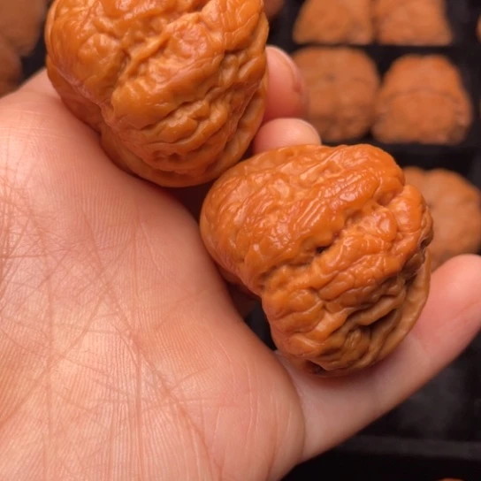 文玩核桃把件秦岭山脉核桃