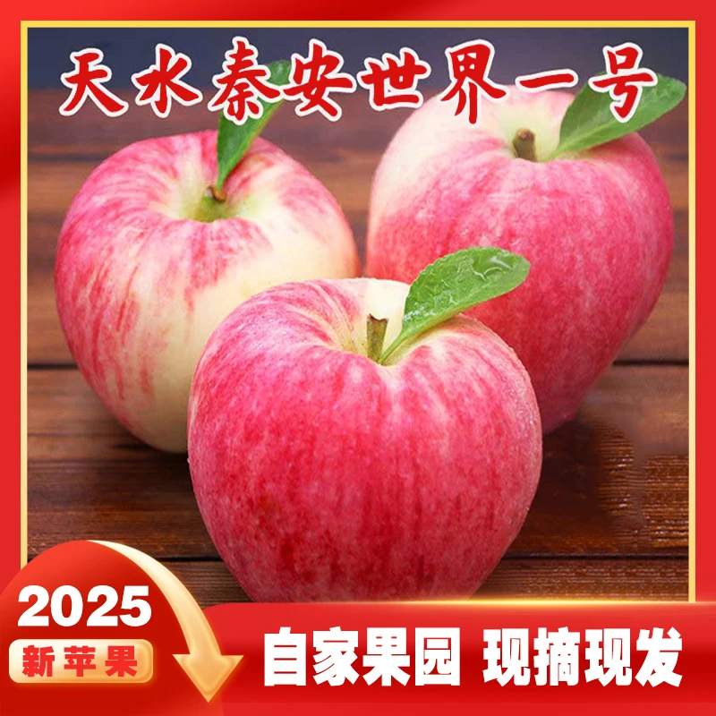 【极兔快递】甘肃秦安世界一号苹果新鲜水果现摘现发当季苹果脆甜口