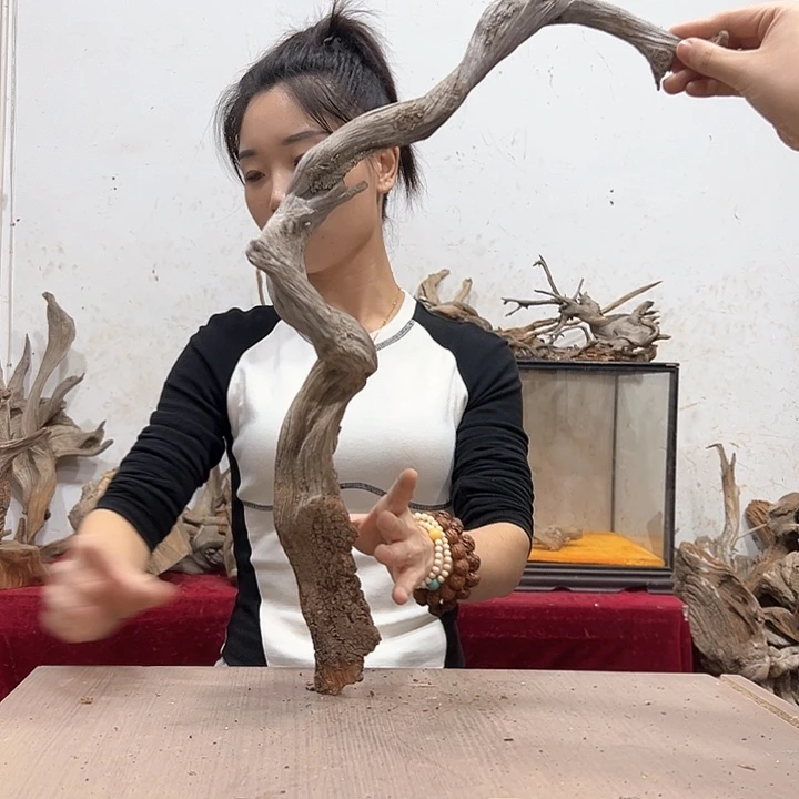柏木呆*王我们的生活也是