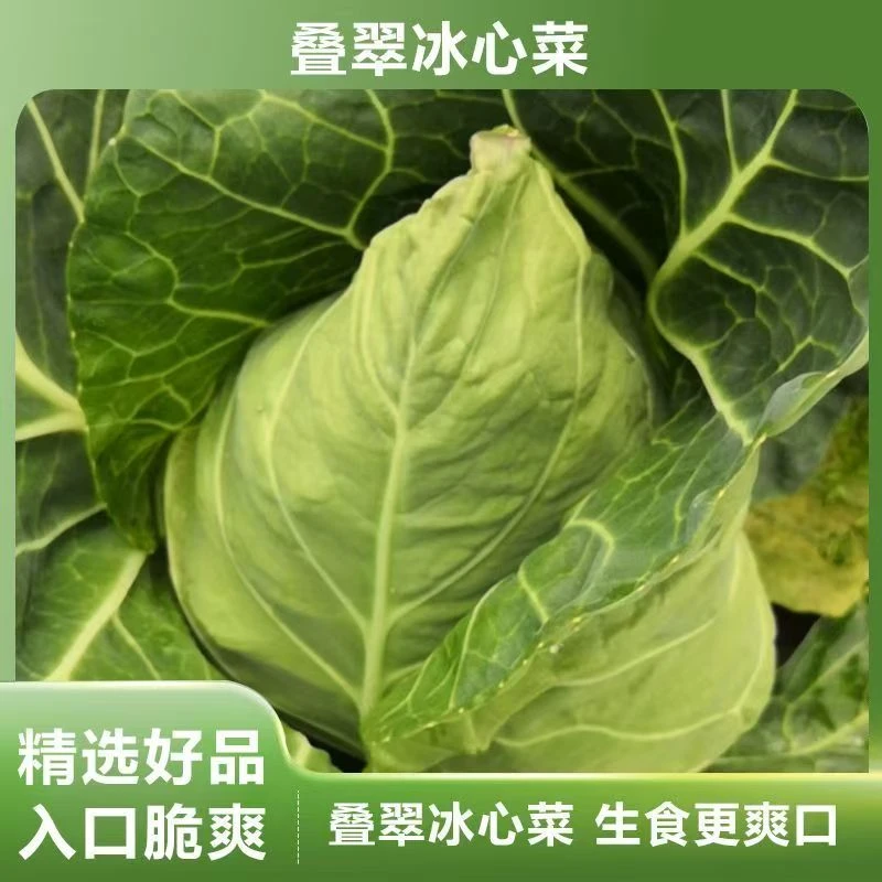 【恩施高山鲜】水果牛心包3斤/5斤