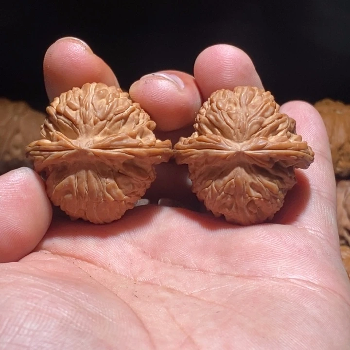 →***→文玩核桃把件37白狮子