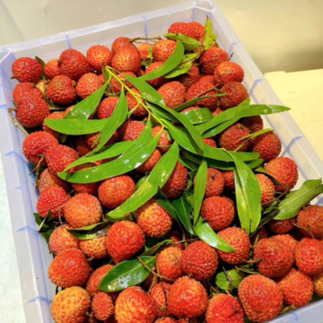 桂味荔枝，3.5斤分装，吉林省