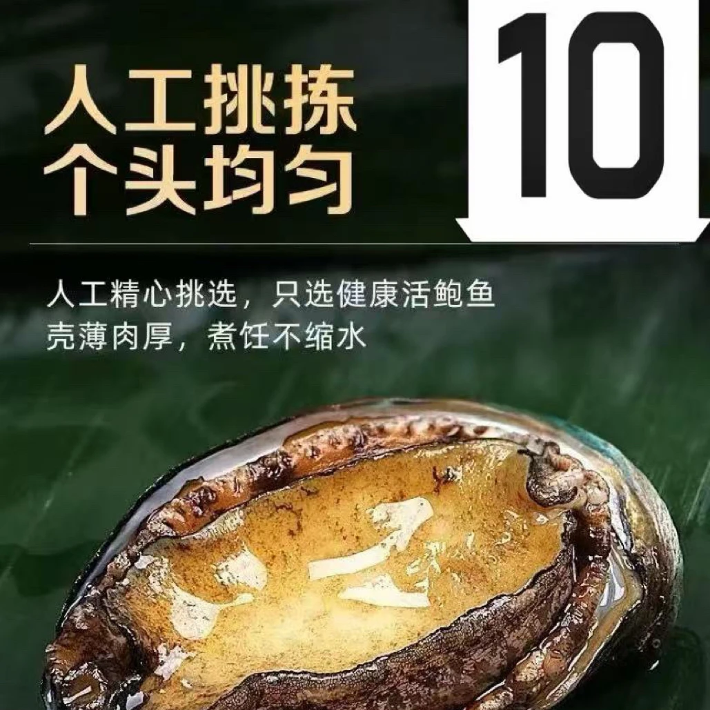 深海精品黄金鲍鱼 肉质肥厚 口感q弹