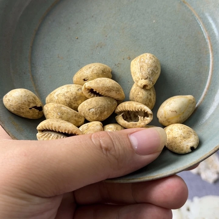 瓷片瓷器瓷器瓷器