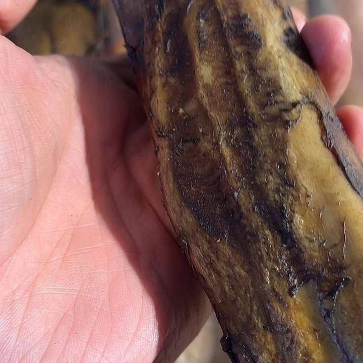 恩*邦ZXhu大骨头棒子大骨头棒子