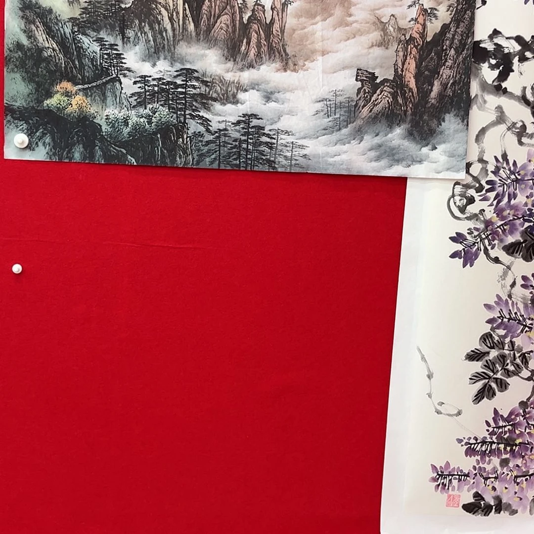 国画晨*绘画作品多次参加全国性