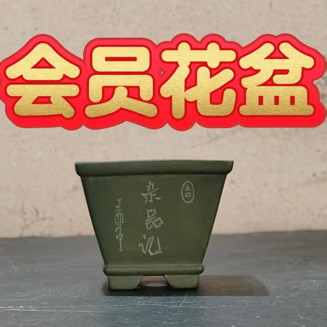录品记会员   花盆  送全套课程