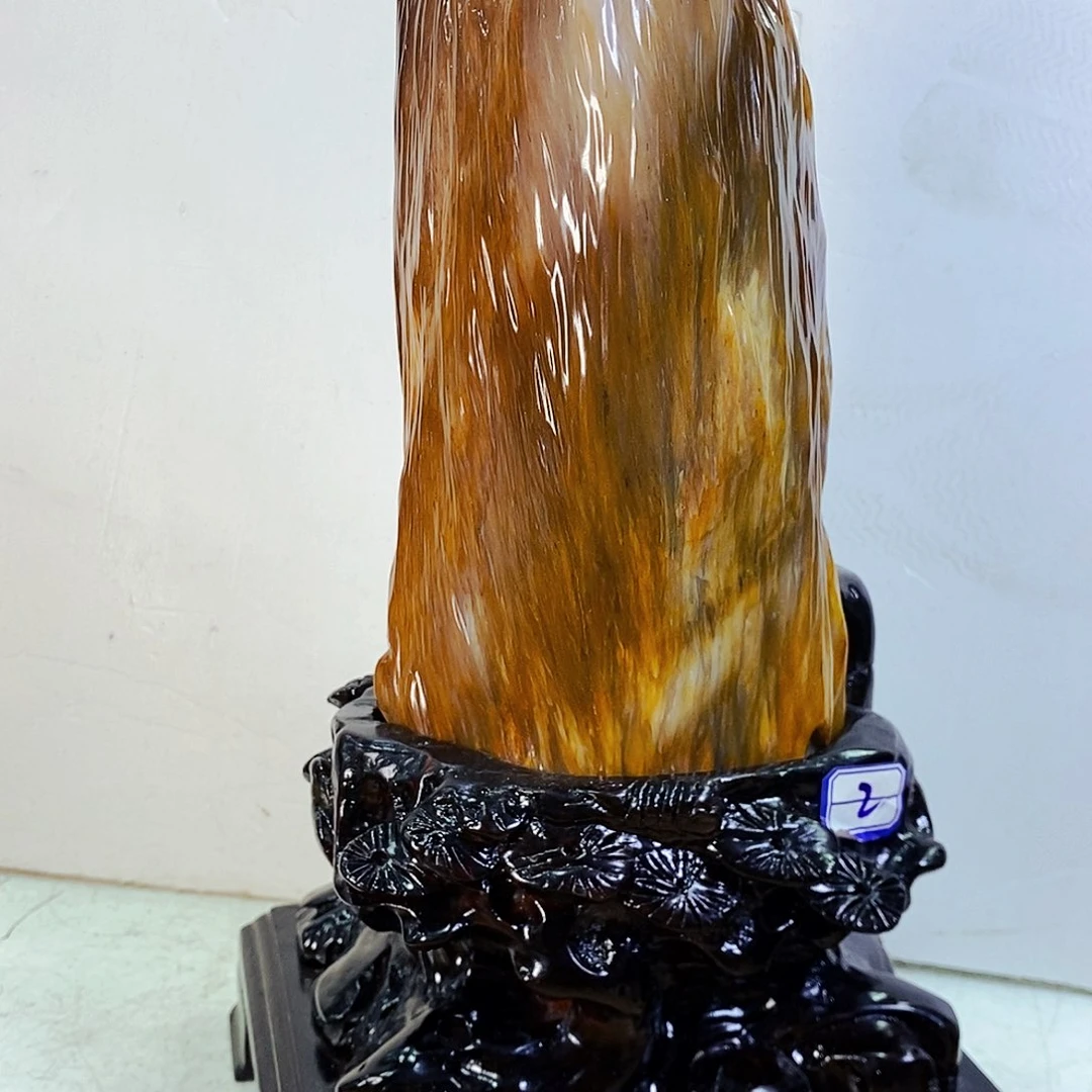 未镶嵌硅化玉（树化玉）珠宝奇石