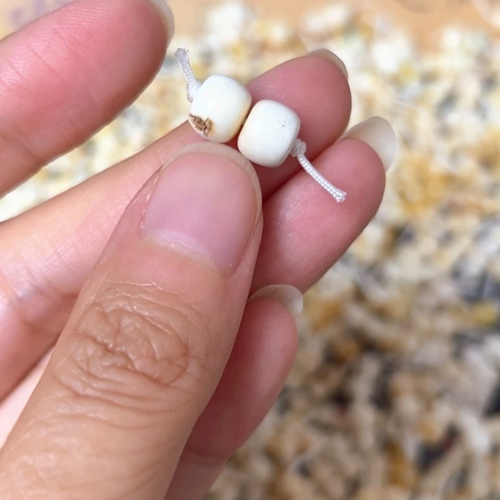 裸石蜜蜡未镶嵌7.6mm一对