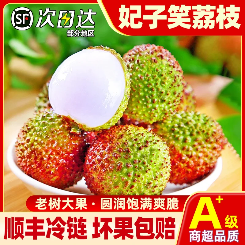 【顺丰冷链】新鲜应季妃子笑荔枝新鲜采摘  核小肉厚  果汁饱满