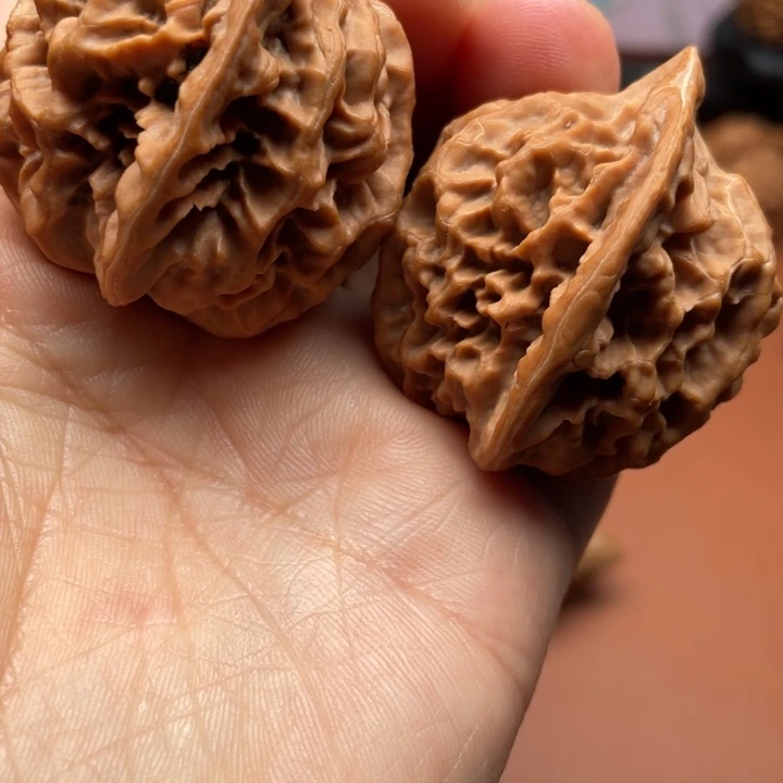 红皮39水晶狮子头官帽